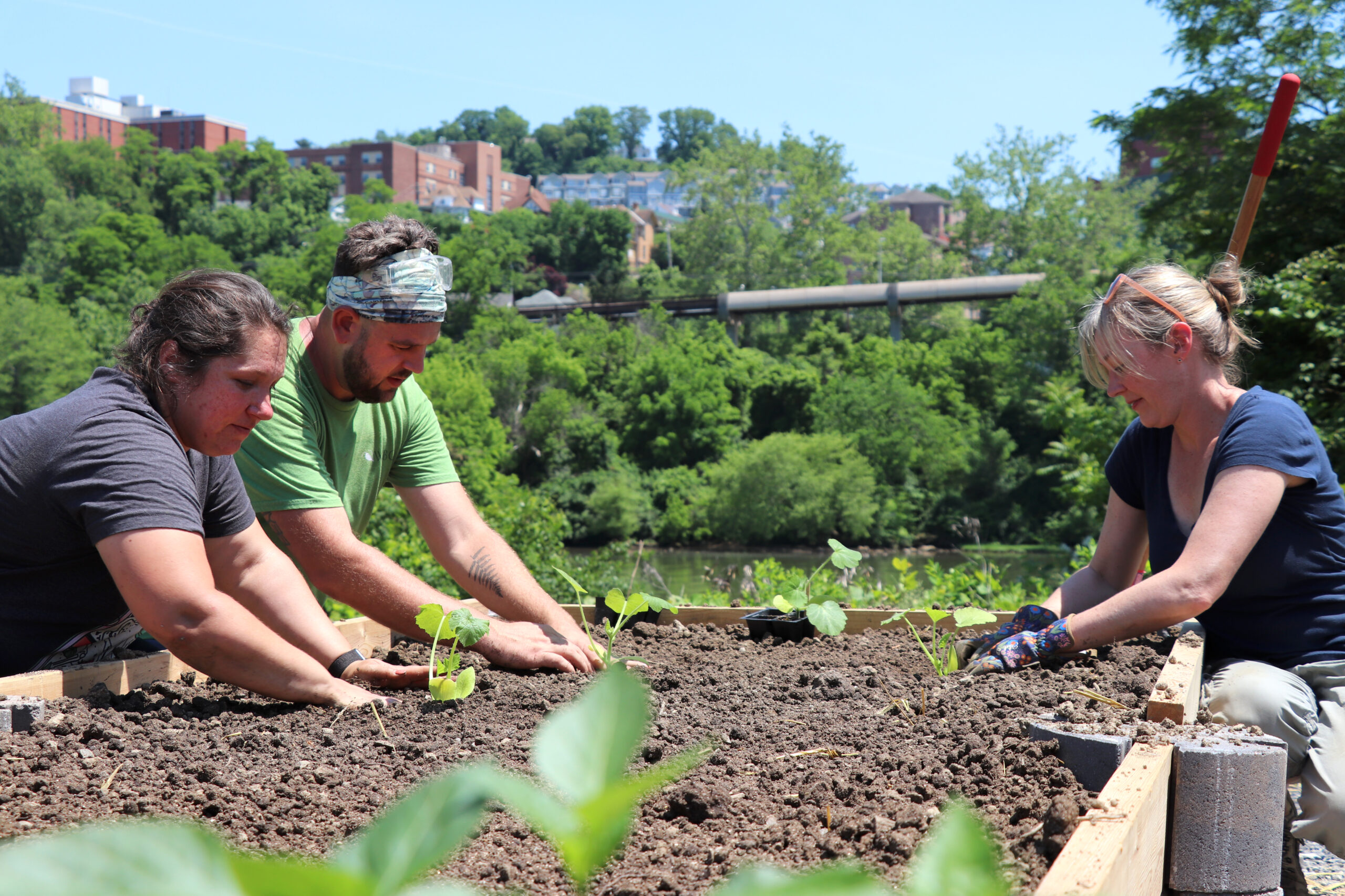 Growing 'The Garden' to a second location in Westover